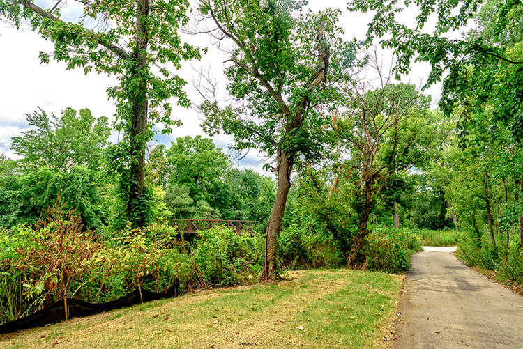 The Water Street Redevelopment Area by Waterworks Park