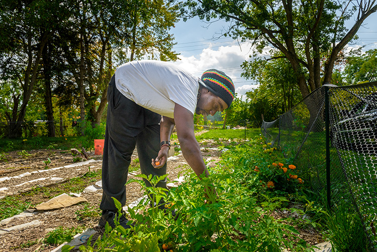 Jasper Gary-Bey at the Parkridge Community Garden