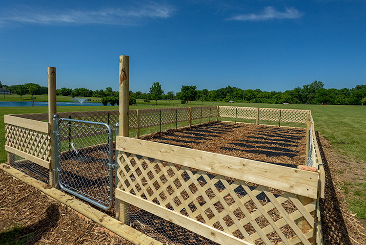 A Fresh Start community garden.