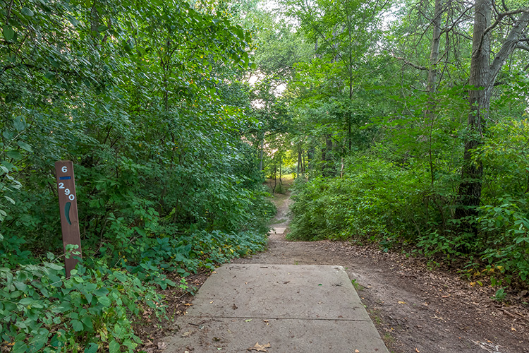 One of two disc golf courses at Hudson Mills Metropark