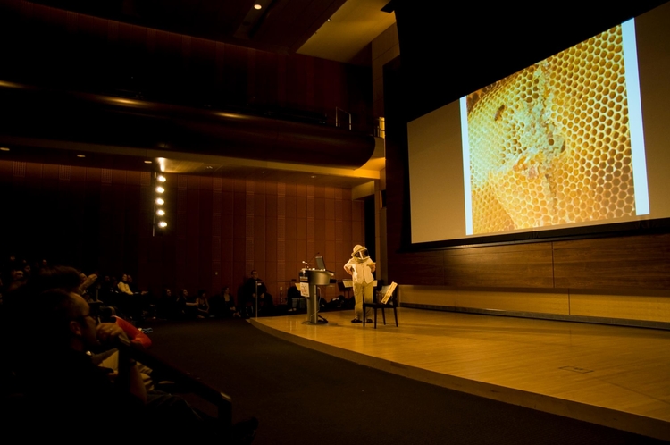 Linda Diane Feldt presents Hives at Home: the Joys of Urban Beekeeping at Ignite Ann Arbor 5.