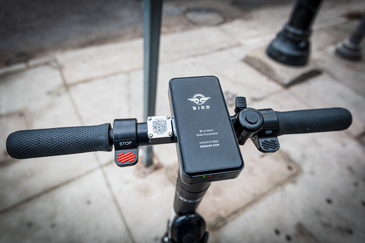 A Bird scooter in downtown Ann Arbor