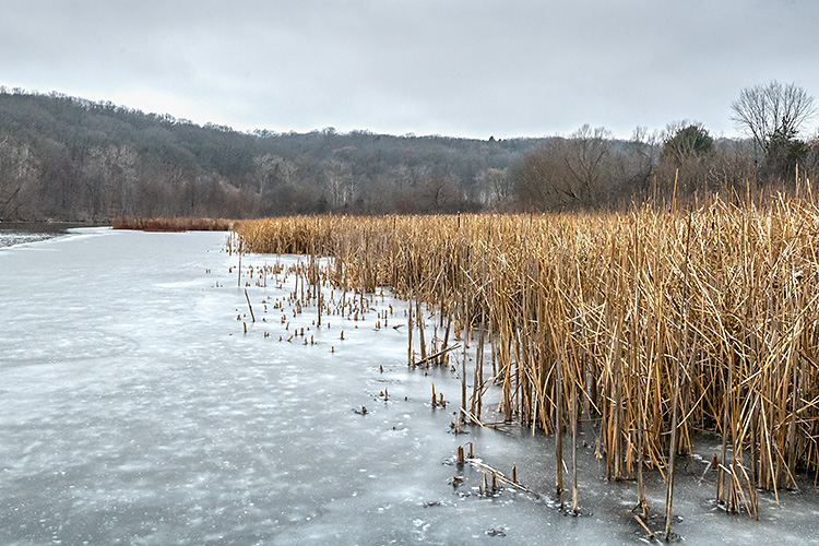 The Huron River at the Barton Nature Area