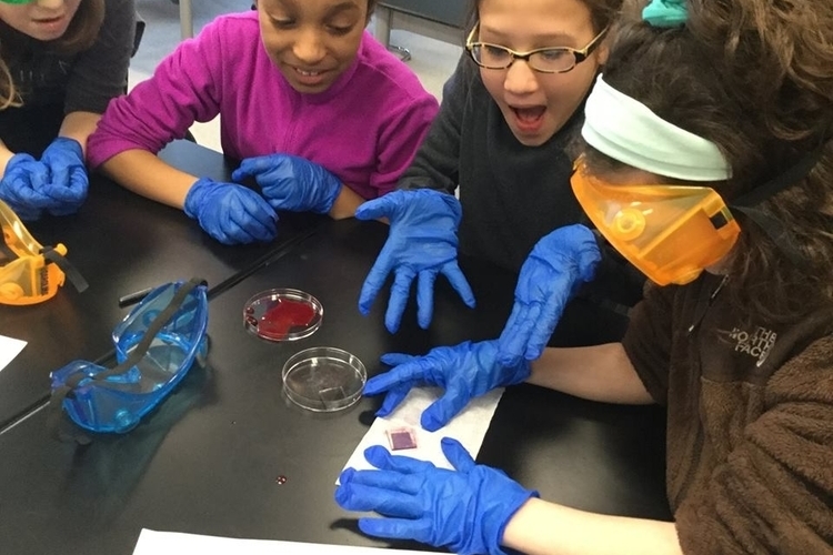 Ann Arbor STEAM students making solar cells.