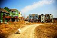 CoHousing_ABS_Dog