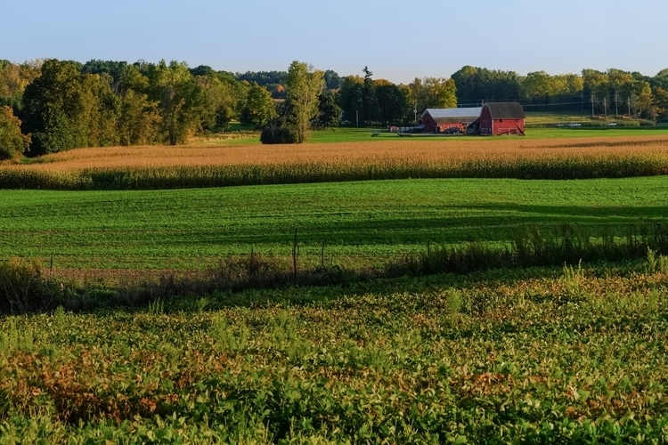 A parcel of the Ann Arbor Greenbelt.