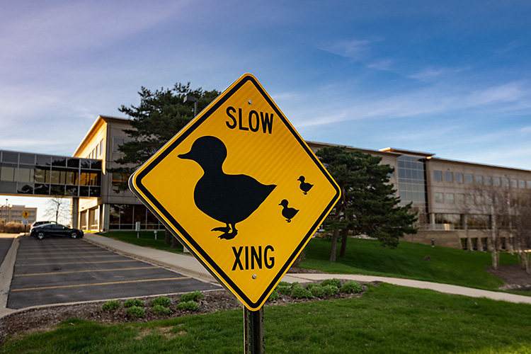 777 E Eisenhower Parkway.