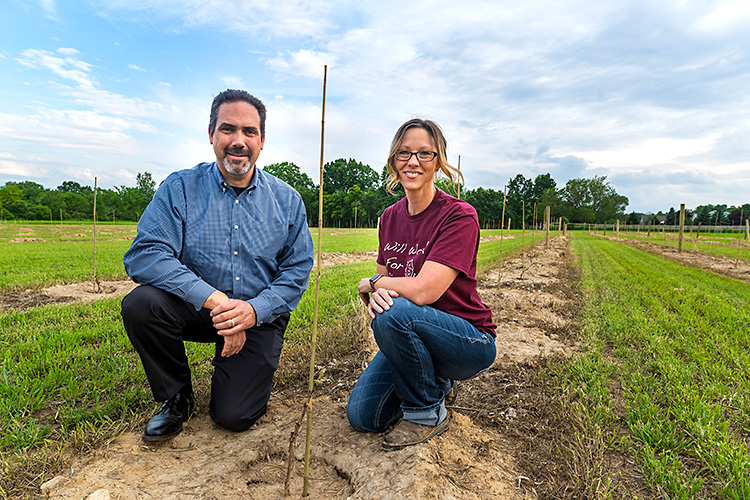 Bob and Paula Sawitski with the new vines planted this spring.