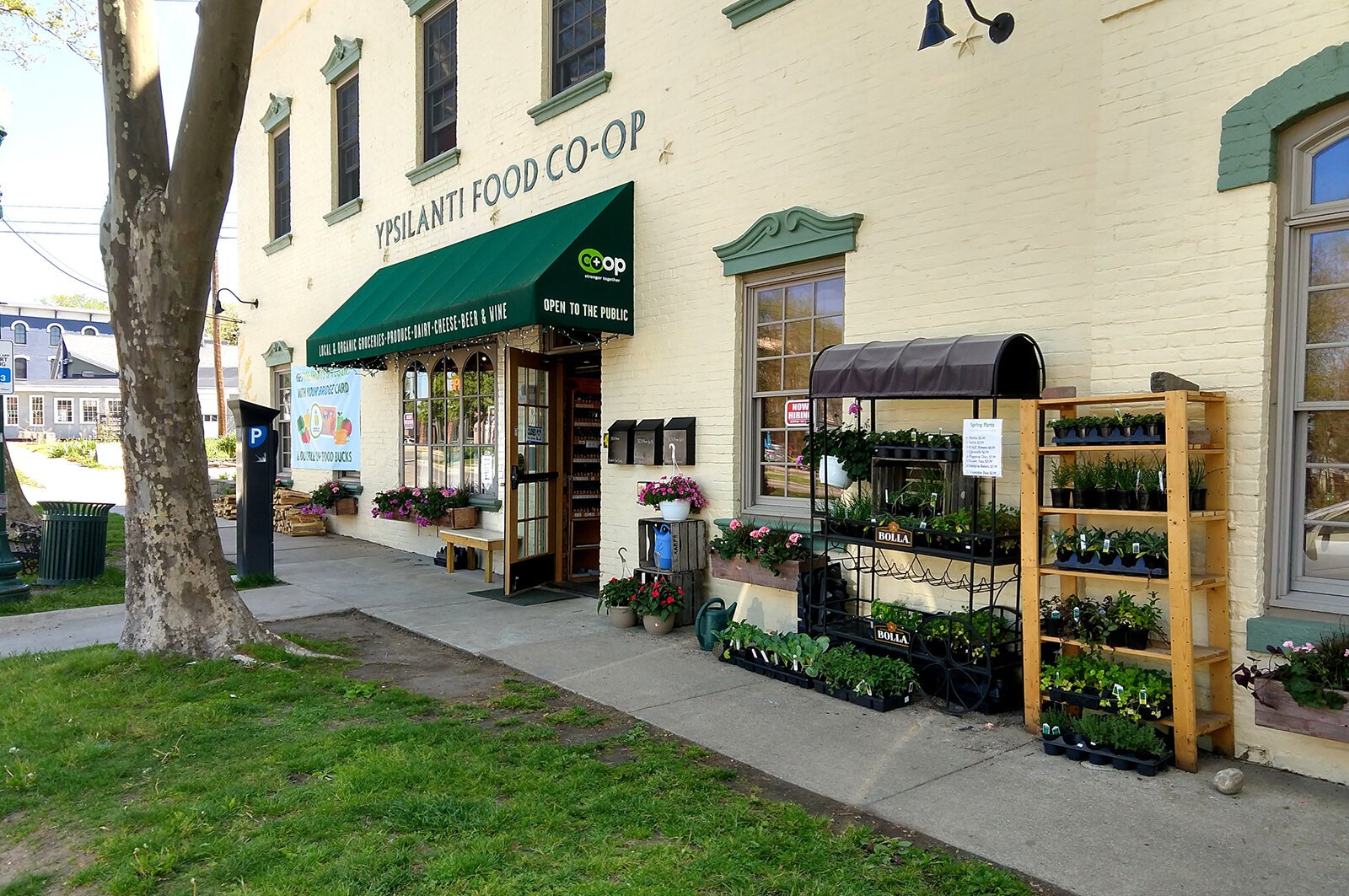 The Ypsilanti Food Co-op.