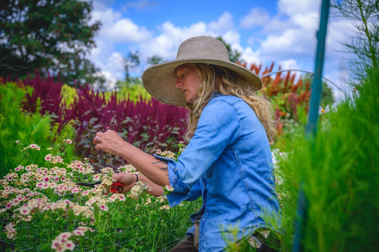 Kate Cleveland at Petal Pusher Farm.