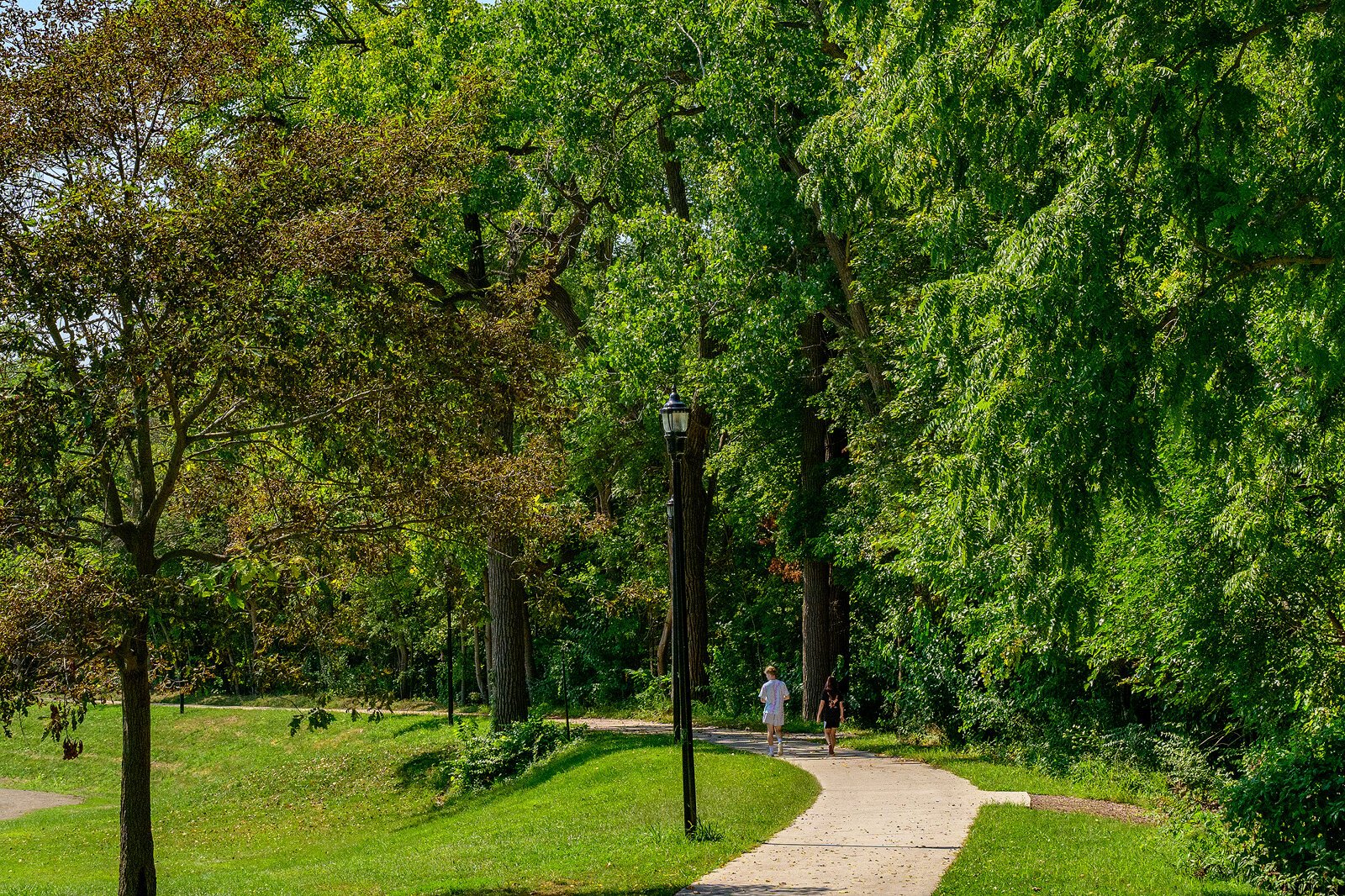 The improved B2B trail at Frog Island Park in Ypsilanti.