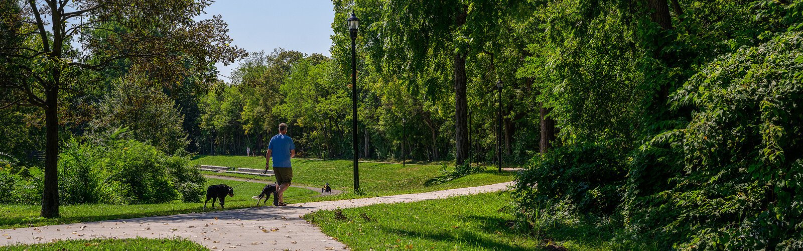 The improved B2B trail at Frog Island Park in Ypsilanti.