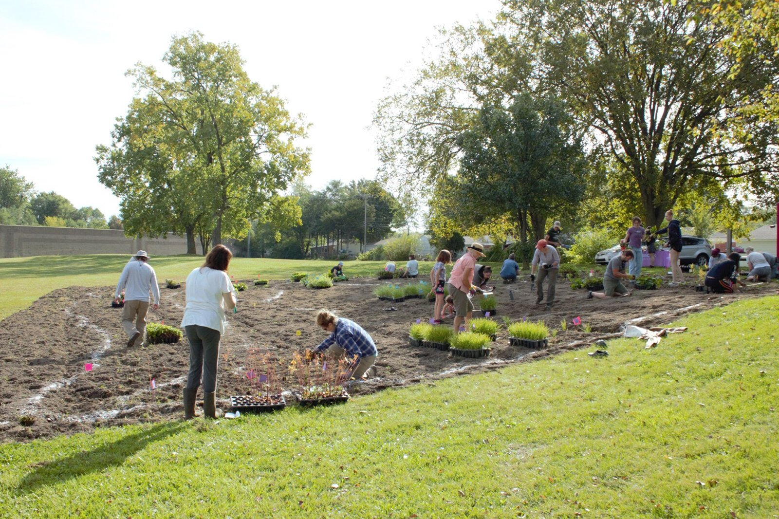 Volunteers plant a native wildflower garden at Sugarbrook Park.