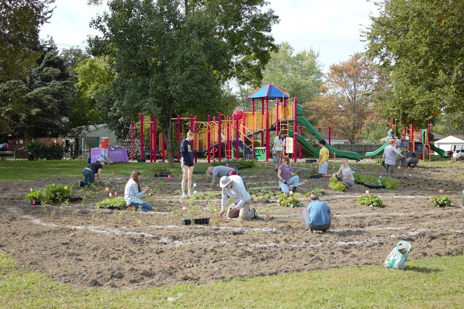 Volunteers plant a native wildflower garden at Sugarbrook Park.