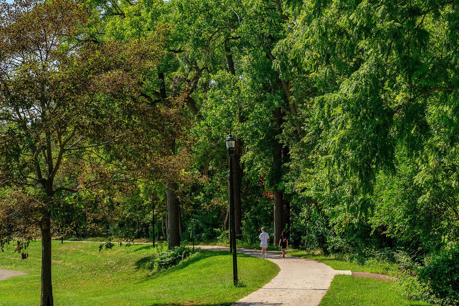 Frog Island Park in Ypsilanti.