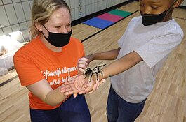 Families had the chance to meet tarantulas and turtles, courtesy of the Creature Teacher.