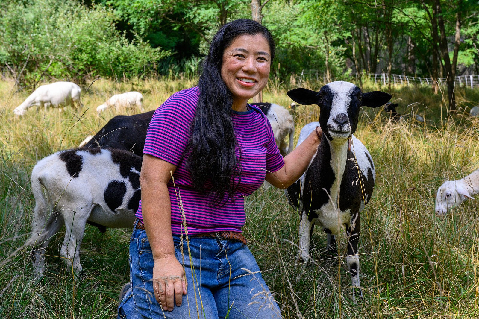 Yuko Frazier with some of her sheep.