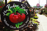 Produce_Abs