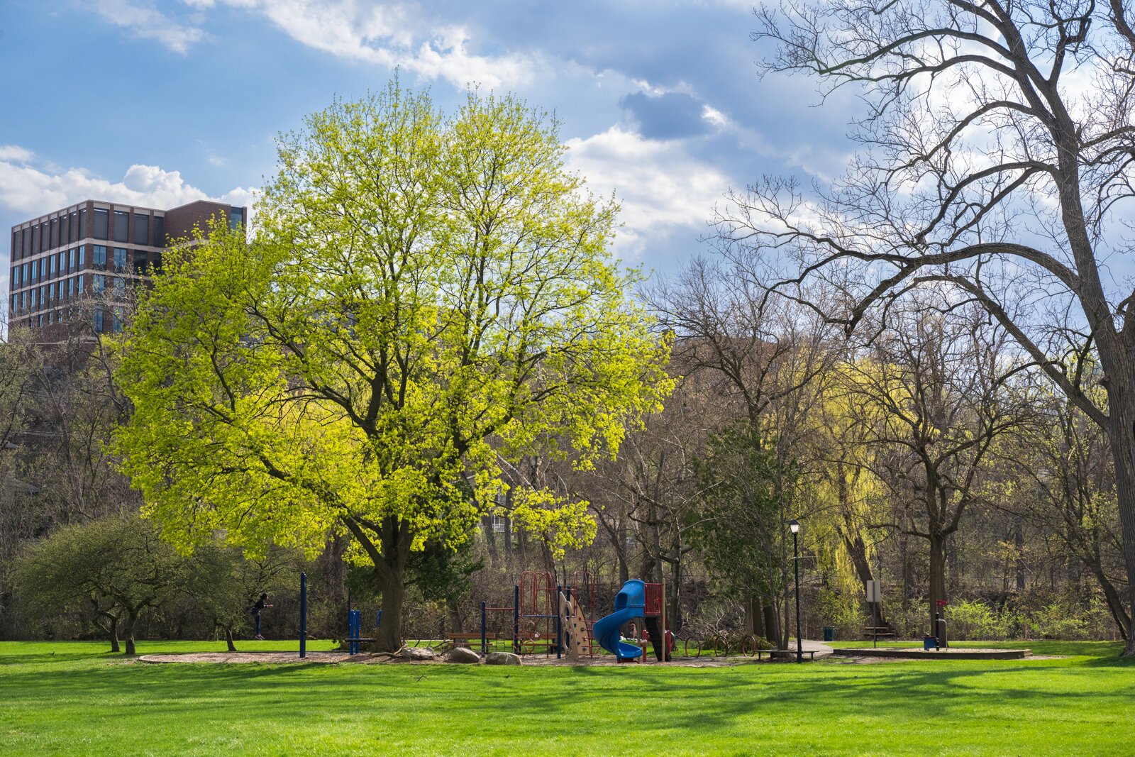 Riverside Park in Ann Arbor's North Side.