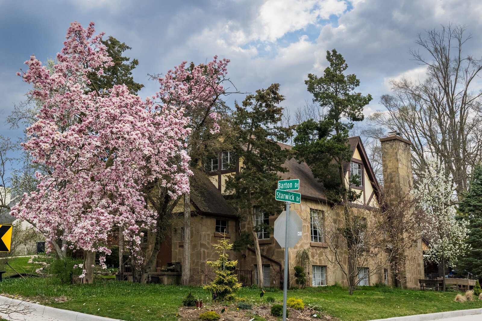 Ann Arbor's North Side.