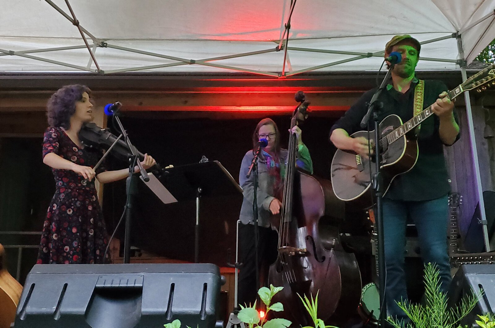 A show from the Broken Branch concert series.