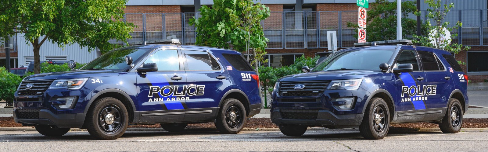 Ann Arbor Police cars at Larcom City Hall.