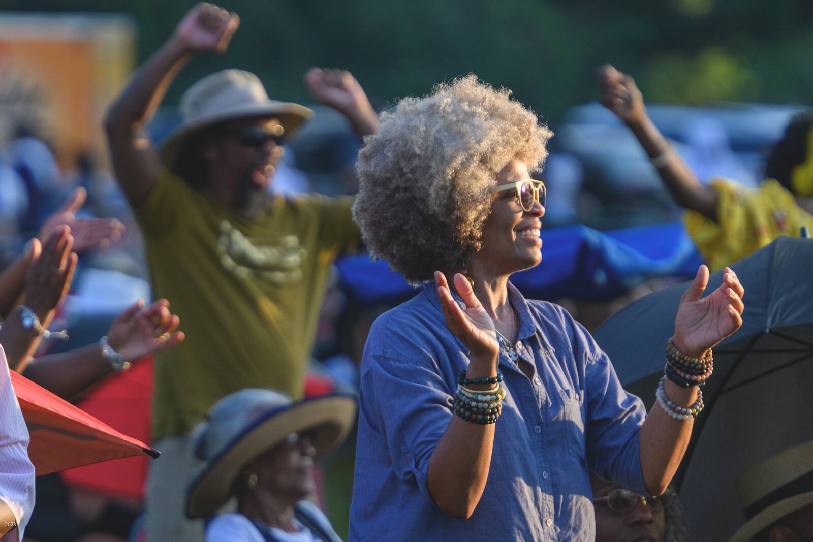 Concertgoers enjoying Gerald Albright at the John E. Lawrence Summer Jazz Series.