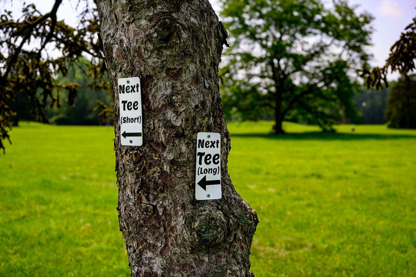 A tee at the Lakeshore disc golf courses.