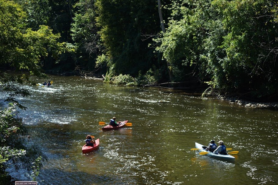 Kayakers on the Huron River during Fall River Day.