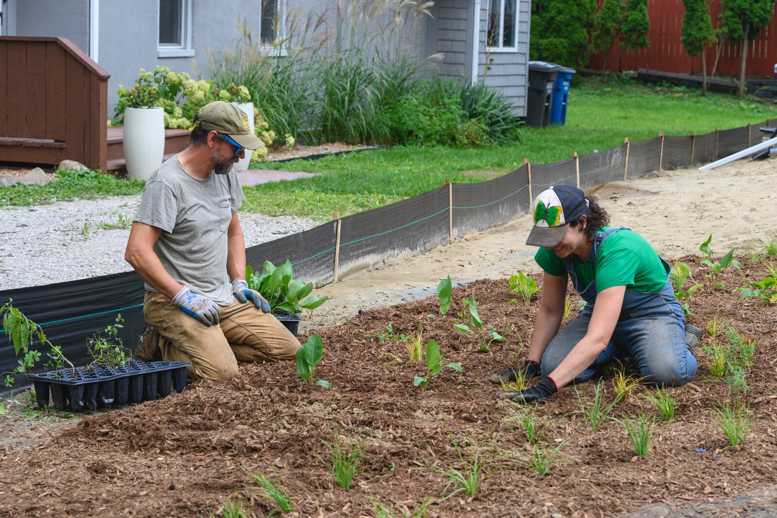 Adapt Landscapes planting a garden in Ann Arbor.