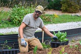 Adapt Landscapes planting a garden in Ann Arbor.