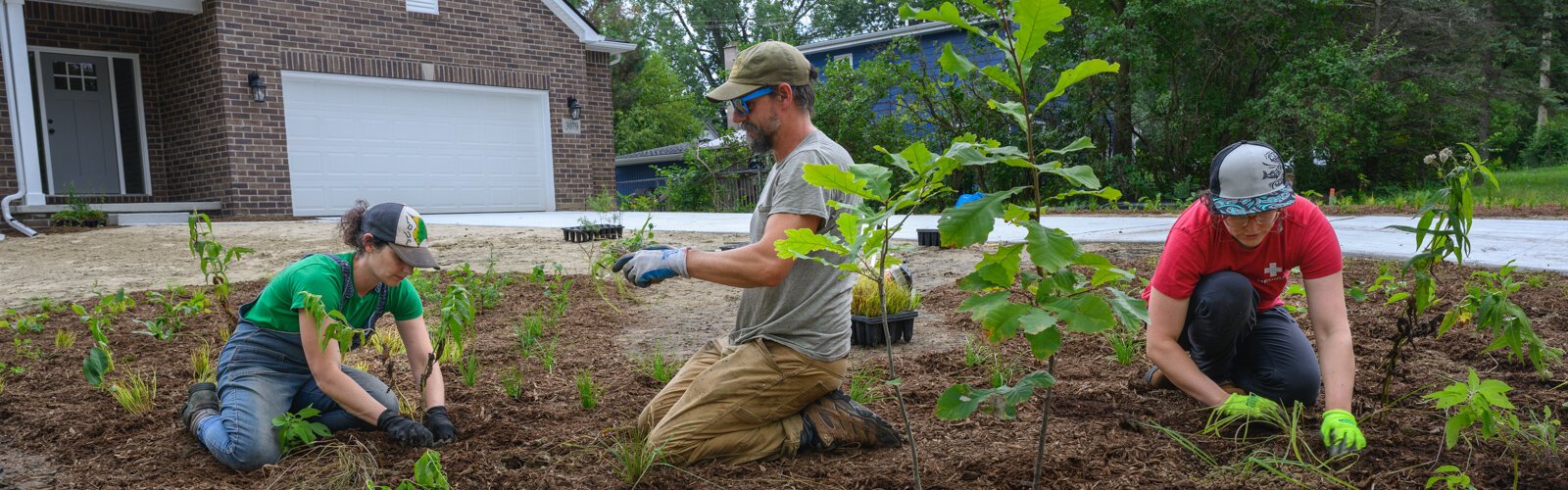 Kat Baskin, William Kirst, and Rachel Lipson of Adapt Landscapes planting a garden in Ann Arbor.