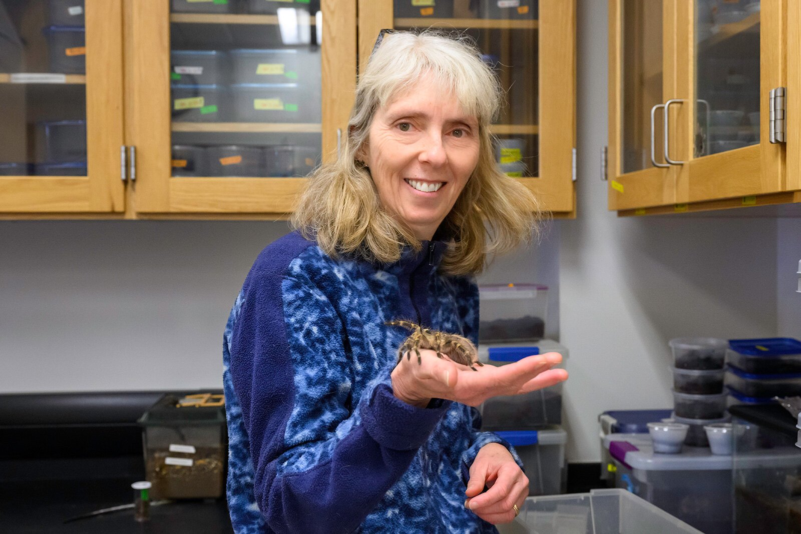 Dr. Cara Shillington in the EMU tarantula lab.
