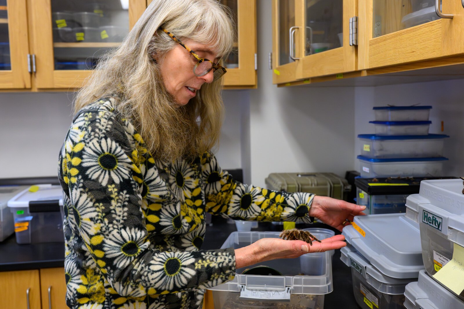 Dr. Cara Shillington at the EMU tarantula lab.