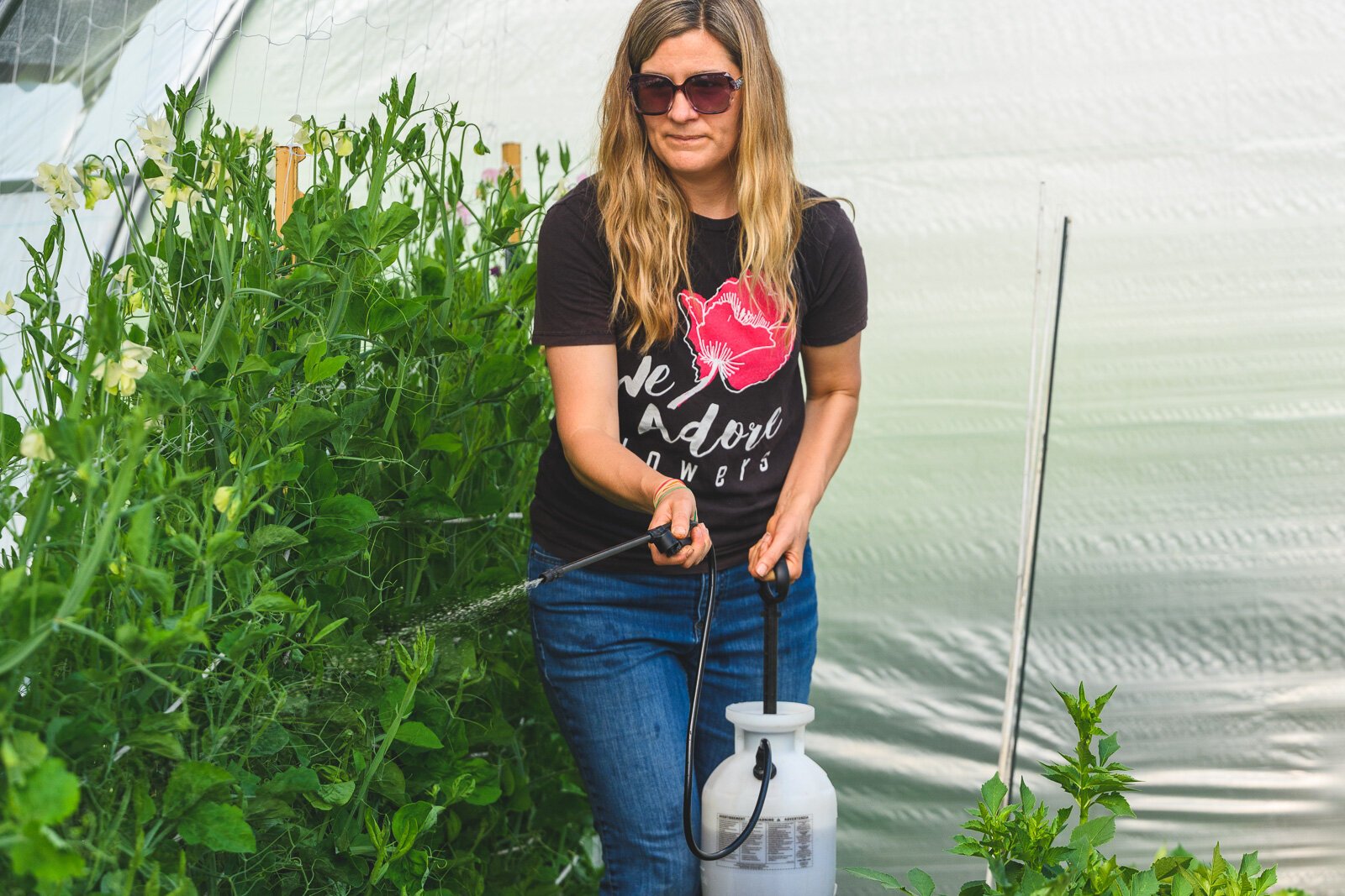 We Adore Flowers owner Ginny Blades applying compost tea to flowers.