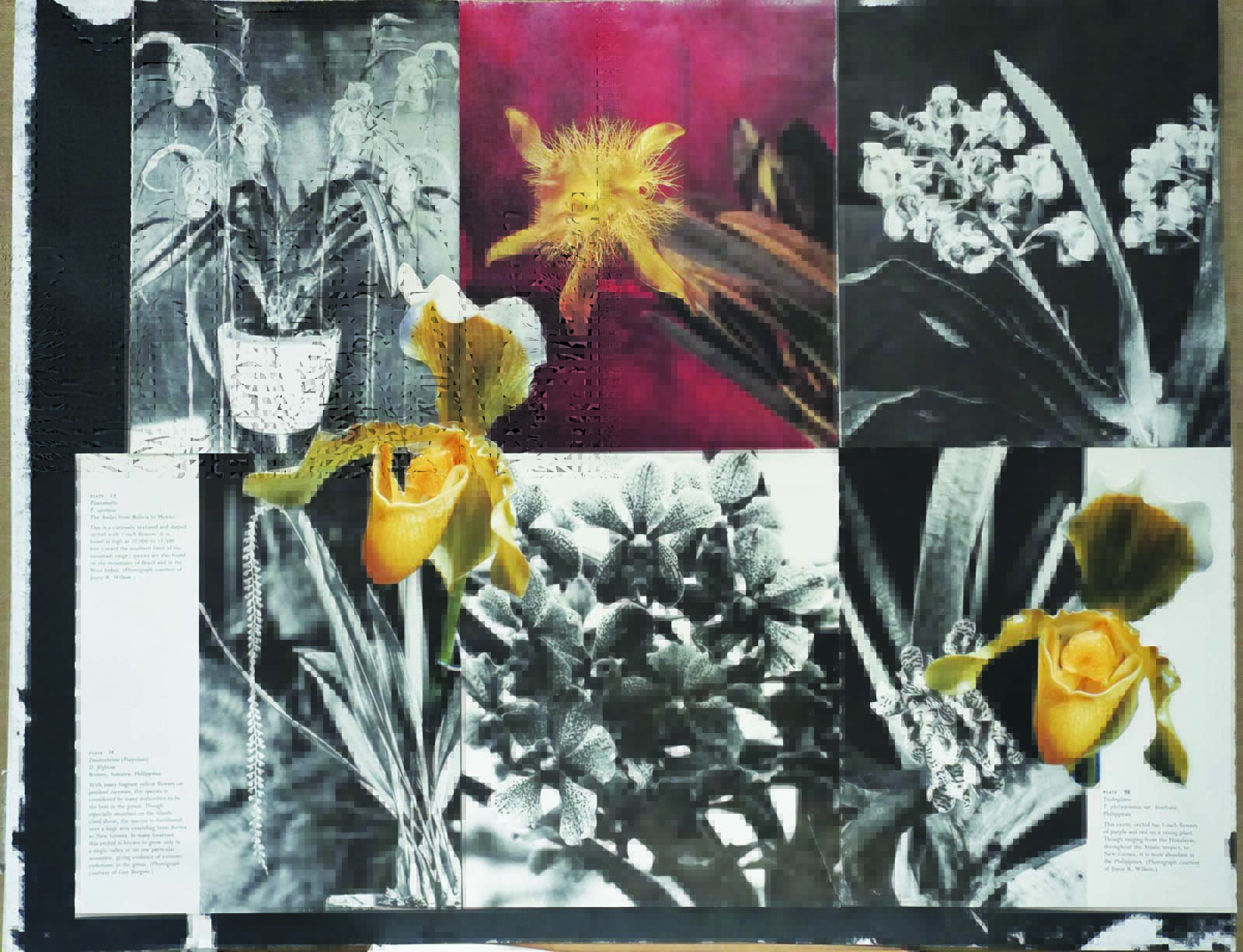 A submission to Groundcover News' Visual Arts Contest.