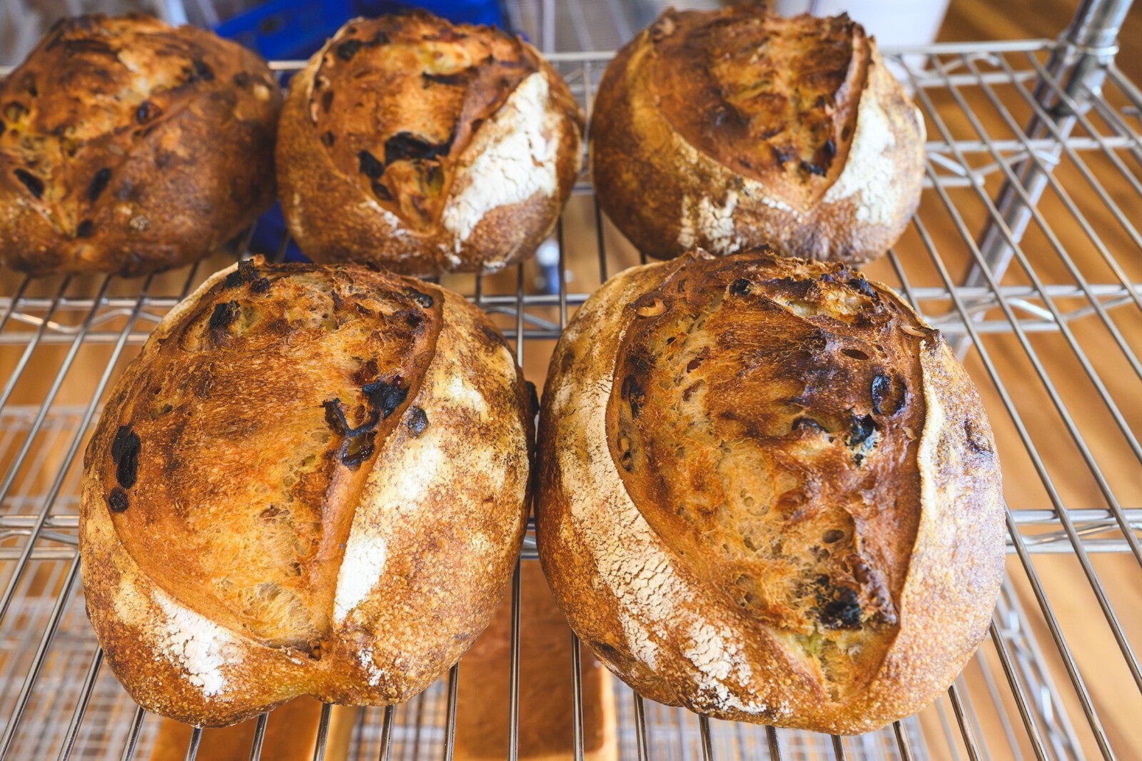 Cherry Raisin Walnut Bread at B-Cubed Bakery.