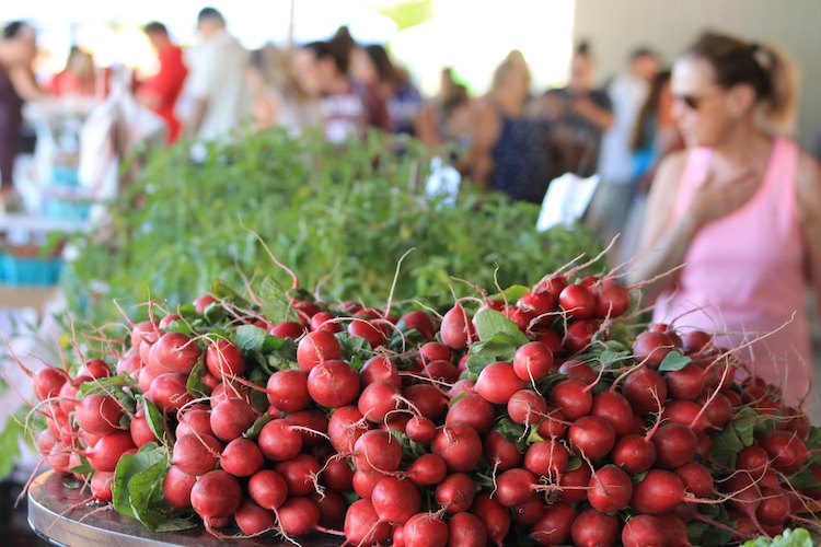 mt pleasant farmers market