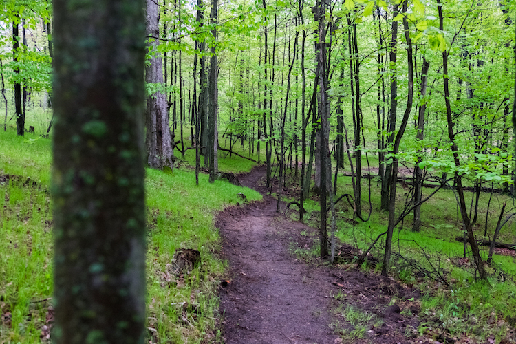 bundy-trail