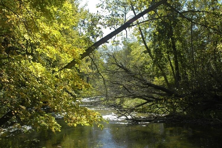 As the last days of summer come to an end and fall approaches, the Chippewa Watershed Conservancy has a full schedule of outdoor events perfect for shaking off the pandemic blues.