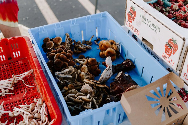 Bill and Pam Kehoe supply three farmers markets and often sell out of their gourmet mushroom varieties.