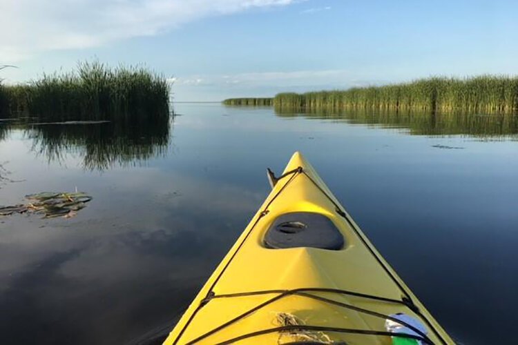 Just two miles east of Northwoods Wholesale Outlet, on Pinconning Road, you’ll find Cattail Kayak Rental in Pinconning County Park, on the Saginaw Bay.