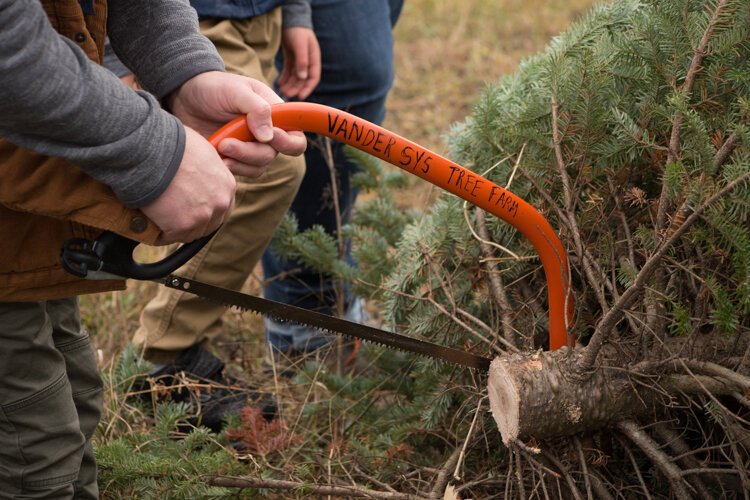 James Rudy shows his son Connor how to safely cut off the lower branches of the Christmas tree they chose at Vander Sys Tree Farm Nursery in Weidman, Michigan.