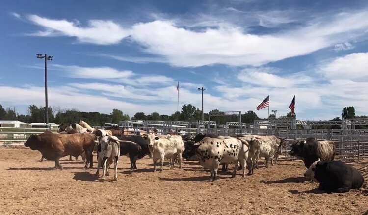 On Tuesday, Jul. 26 at 7 P.M., residents can attend Super Kicker Rodeo for $10 admission and children under five are free. Pit passes are available for $20.