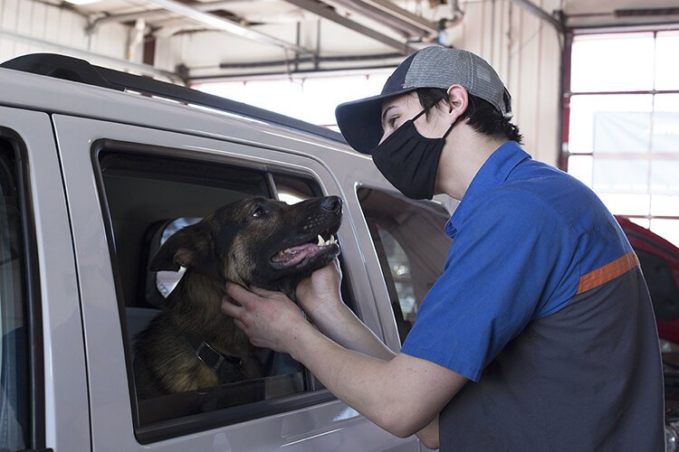 Lube technician at Quick Lane Tire & Auto Center at Krapohl Ford & Lincoln, Christopher Bartow, pets Leo, a purebred German Shepherd, during a fundraising event on Friday, Jan. 29 at the center for the Humane Animal Treatment Society. 