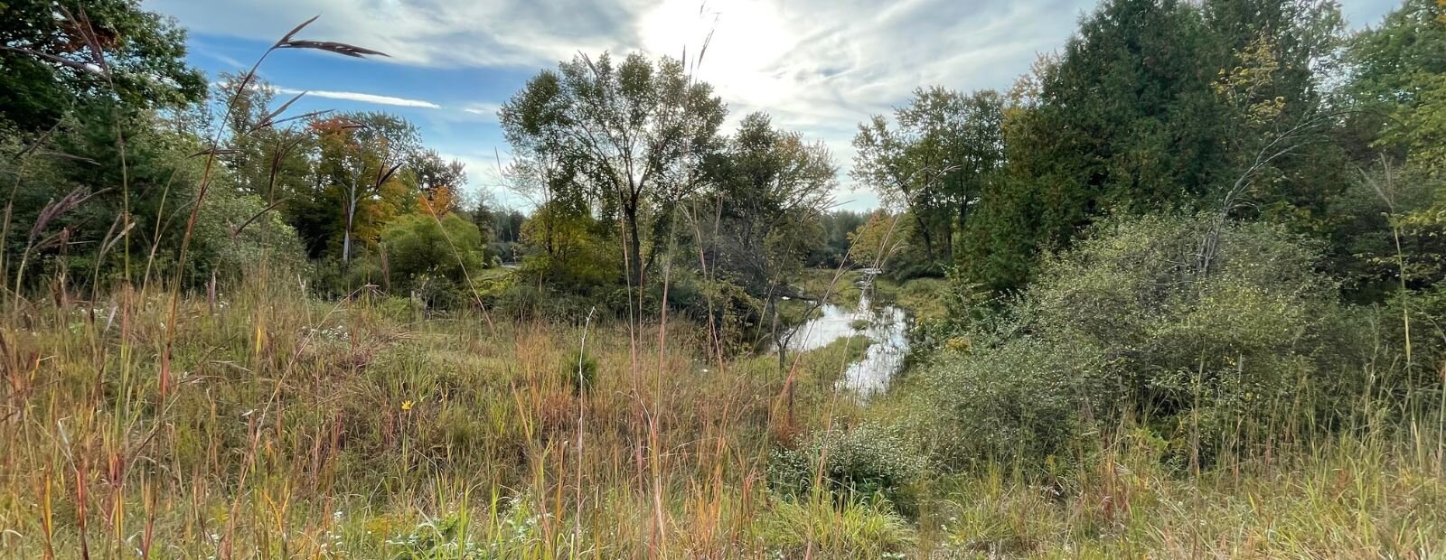 Meridian Park oxbow view