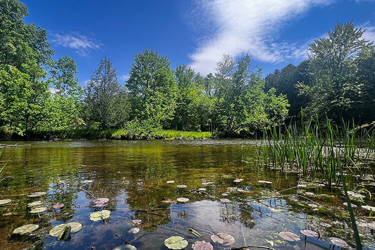 The Chippewa River flows for 91.8 miles through the central Lower Peninsula. The river stream runs through a mix of woodland habitats, farm country, and residential neighborhoods, including cities, townships, and villages of Isabella County.