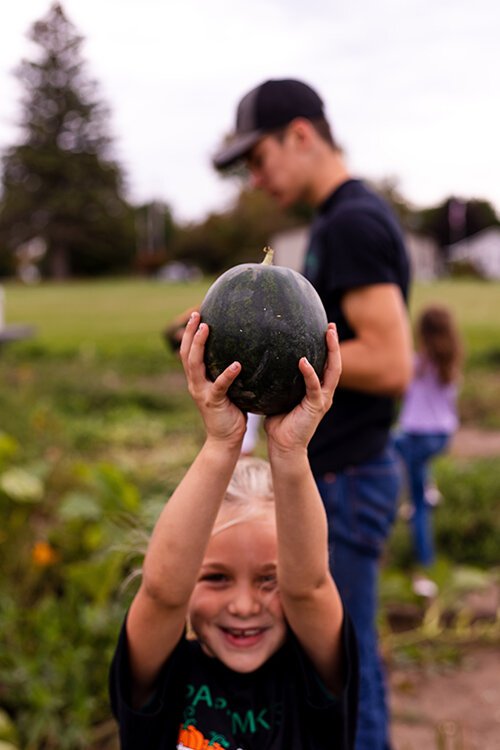 Nora holds up a small watermelon. The children dedicated part of the patch this year to growing the fruit, but it won’t be available at the display. 