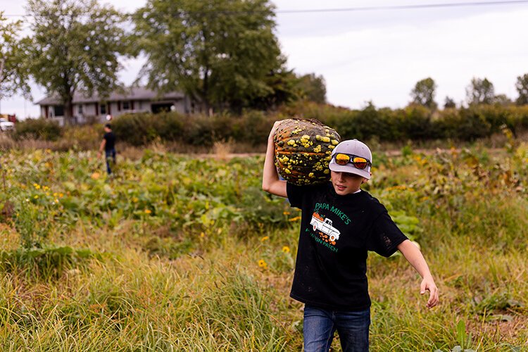 Jack McConnell, 10, carries a pumpkin to one of two family trucks. Jack began farming and selling pumpkins under the name, “Jack’s Jack O’ Lanterns” three years ago.
