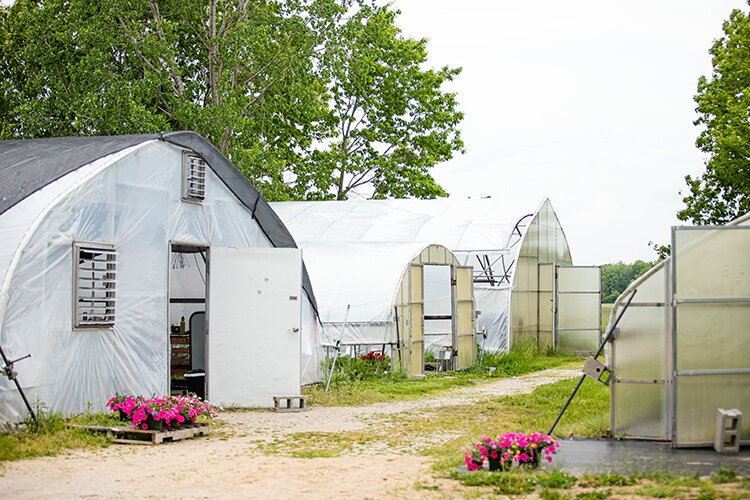 Flowering plants are found in the first greenhouse, herbs in the second, plants already purchased and waiting for pickup in the third, and (right) vegetables are grown in the fourth.